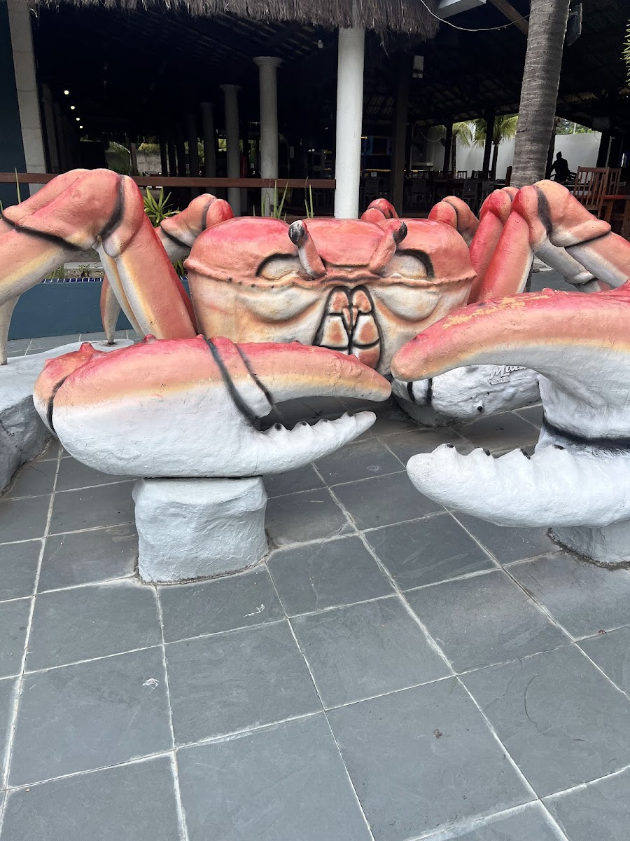 Chico Do Caranguejo - Loja Eusebio-4