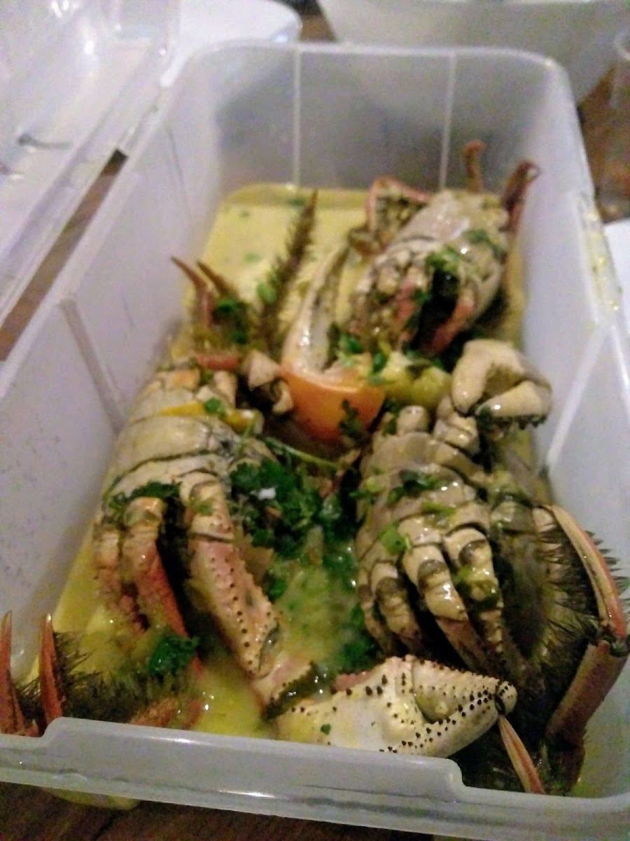 Chico Do Caranguejo - Loja Eusebio-6