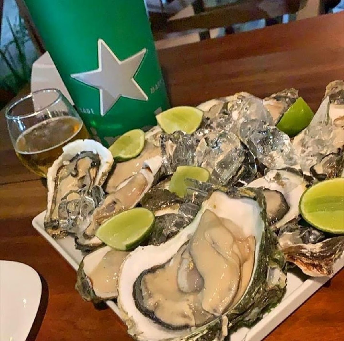 Chico Do Caranguejo - Loja Eusebio-9